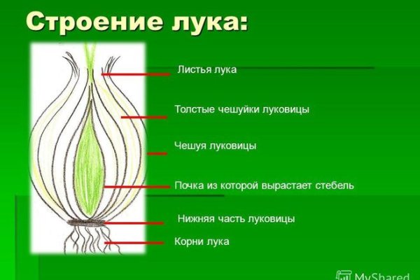 Сайт мега кракен